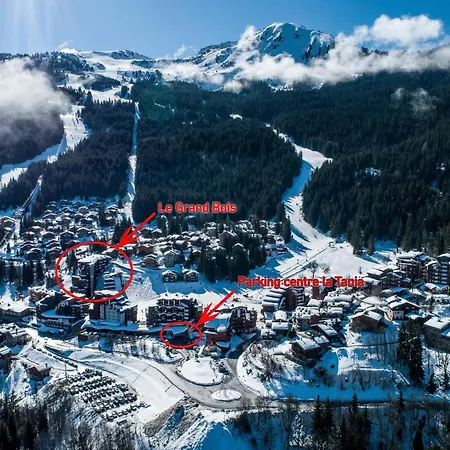 Apartamento 2 Pieces A La Tania, Skis Aux Pieds - 4 Pers, Balcon, Proche Commerces Et Esf - Fr-1-182a-21